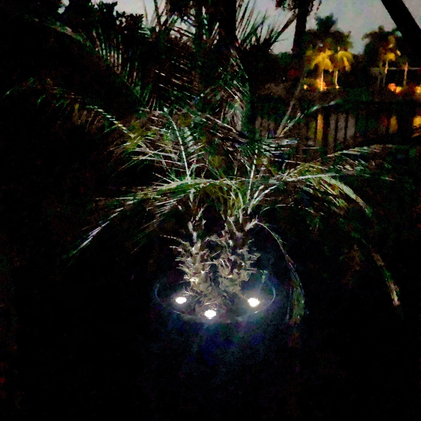 LED Dock & Deck Pods - Solar Powered Light Dots - PRE-ORDER
