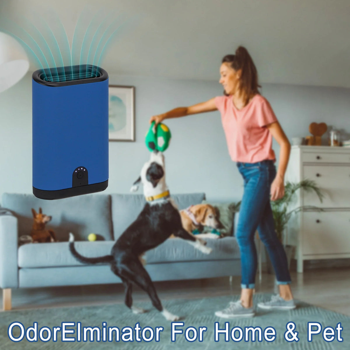Portable Ozone Generator Air Purifier